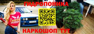 ешки Заводоуковск