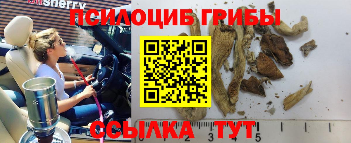 Псилоцибиновые грибы MAGIC MUSHROOMS Лысьва
